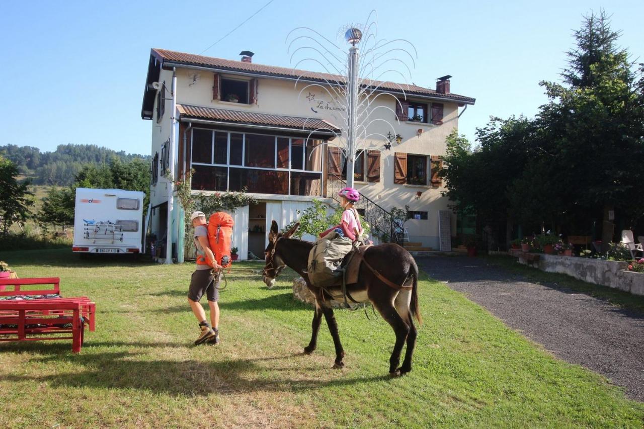 Bed and Breakfast la Chaumine aux étoiles à Camurac Extérieur photo